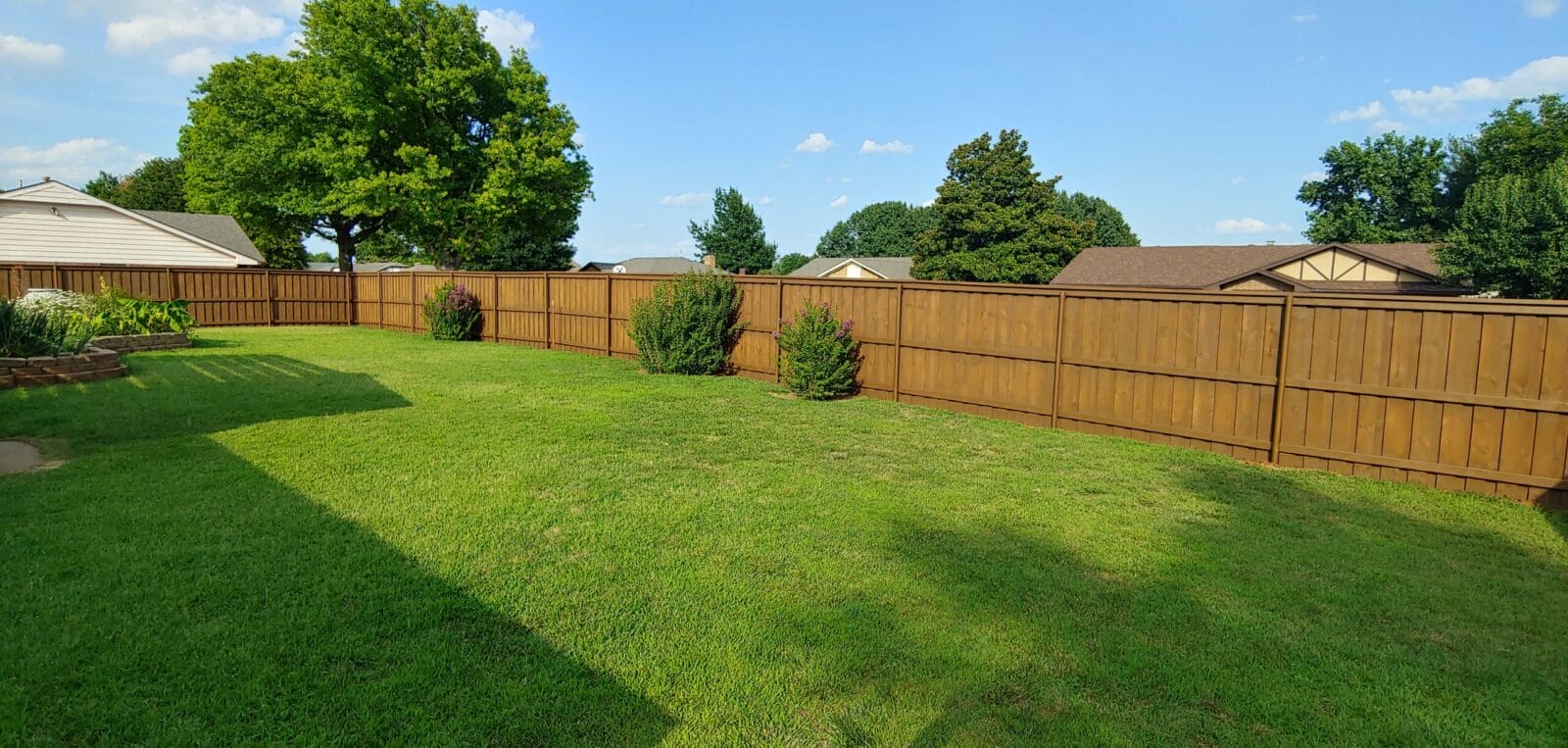 Beautiful Lawn and privacy fence